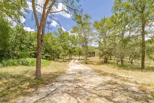 4459 Pettytown Rd, Dale, TX 78616 - Photo 11