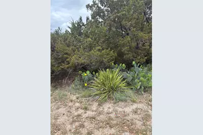 20905 Magellan Cove, Lago Vista, TX 78645 - Photo 3