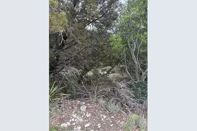 20905 Magellan Cove, Lago Vista, TX 78645 - Photo 5