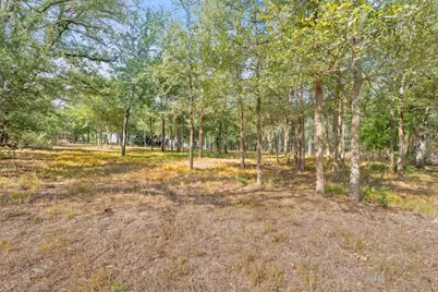 159 Raptor Beak Way, Cedar Creek, TX 78612 - Photo 29