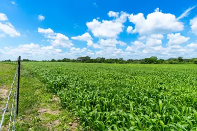 5018 Wolters Road, Schulenburg, TX 78956 - Photo 27