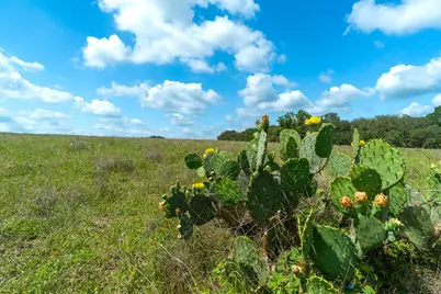 5018 Wolters Road, Schulenburg, TX 78956 - Photo 39