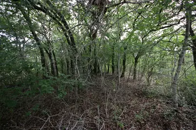 1900 County Road 156, Georgetown, TX 78628 - Photo 3