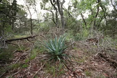 1900 County Road 156, Georgetown, TX 78628 - Photo 5