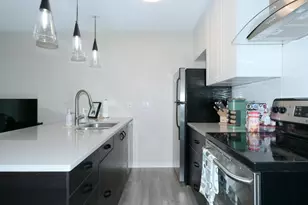 2302 East Side Dr, Austin, TX 78704 - Photo 3
