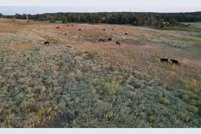 Tbd Tract 2 County Road 449, Thorndale, TX 76577 - Photo 7