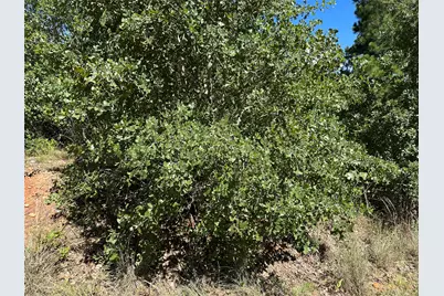 Tbd N. Pahihi Drive, Bastrop, TX 78602 - Photo 1
