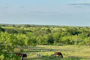 1096 Co Rd 447, Waelder, TX 78959 - Photo 5