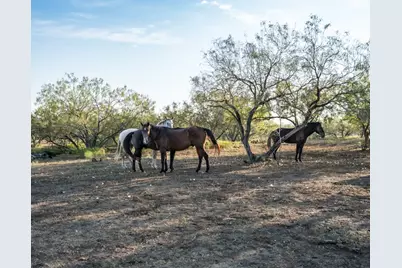 1096 County Road 447, Waelder, TX 78959 - Photo 17