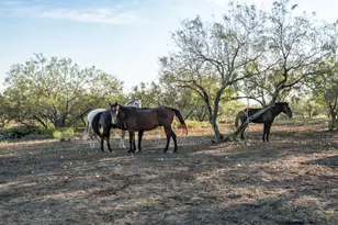 1096 Co Rd 447, Waelder, TX 78959 - Photo 17