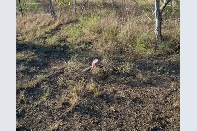 1096 County Road 447, Waelder, TX 78959 - Photo 21