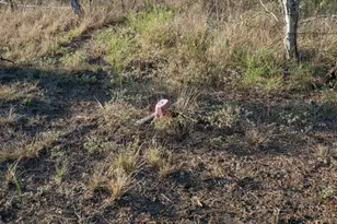 1096 Co Rd 447, Waelder, TX 78959 - Photo 21