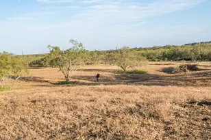 1096 Co Rd 447, Waelder, TX 78959 - Photo 15