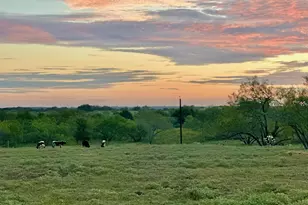 1096 Co Rd 447, Waelder, TX 78959 - Photo 7