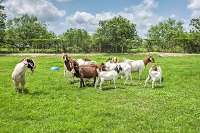 15805 Richards Drive, Del Valle, TX 78617 - Photo 29