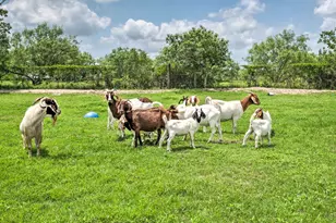 15805 Richards Dr, Del Valle, TX 78617 - Photo 29