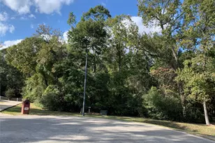 500 Nautica Ln, Montgomery, TX 77316 - Photo 3