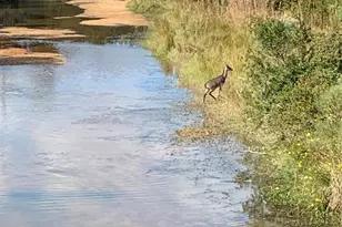 500 Nautica Ln, Montgomery, TX 77316 - Photo 9