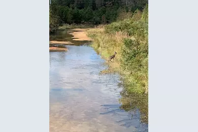 500 Nautica Lane, Montgomery, TX 77316 - Photo 9