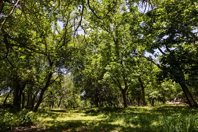 951 Cypress Creek Road, Kerrville, TX 78028 - Photo 11