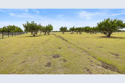 508 Purple Salvia Cove, Liberty Hill, TX 78642 - Photo 37