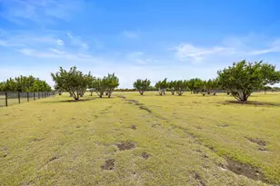 508 Purple Salvia Cv, Liberty Hill, TX 78642 - Photo 37