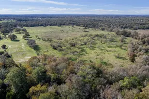 221 Old Waelder Rd, Flatonia, TX 78941 - Photo 7