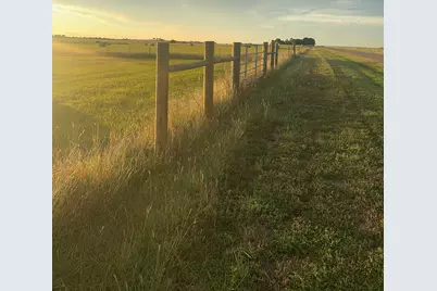 8038 Ohnheiser Kaase Road, La Grange, TX 78945 - Photo 3