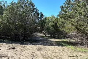 County Road 442 County Road 442, Goldthwaite, TX 76844 - Photo 29
