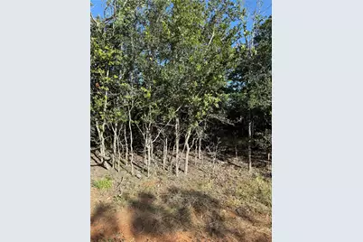 152 Helemano Drive, Bastrop, TX 78602 - Photo 5
