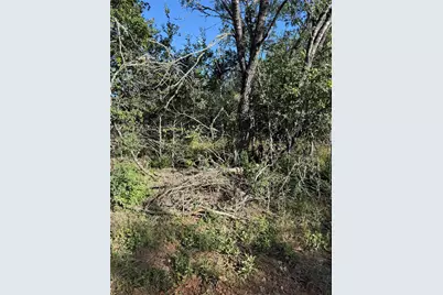 152 Helemano Drive, Bastrop, TX 78602 - Photo 3