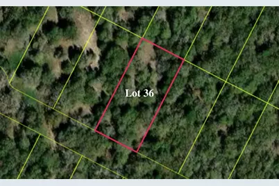 136 Las Alturas Drive, Elgin, TX 78621 - Photo 5