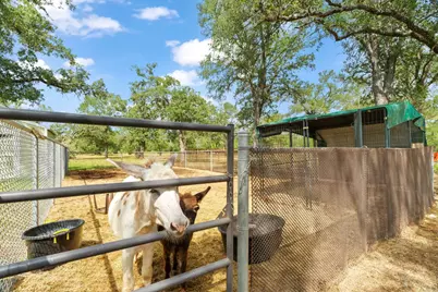 3434 Prairie Lea Road, Kingsbury, TX 78638 - Photo 29