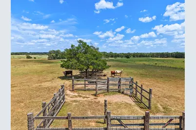 372 Hofferek Road, Rosanky, TX 78953 - Photo 1