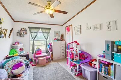 372 Hofferek Road, Rosanky, TX 78953 - Photo 21