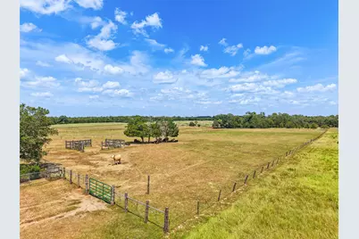 372 Hofferek Road, Rosanky, TX 78953 - Photo 7
