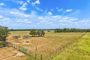 372 Hofferek Rd, Rosanky, TX 78953 - Photo 7