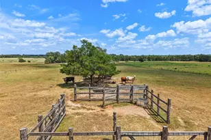 372 Hofferek Rd, Rosanky, TX 78953 - Photo 39