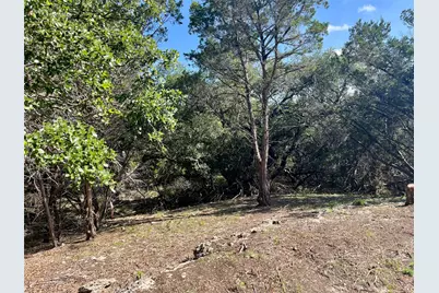 753 Appaloosa Drive, Fischer, TX 78623 - Photo 9
