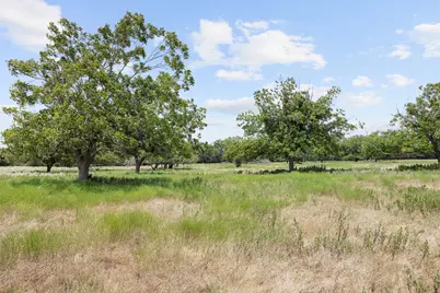 Tract 5 Fm 3158, Dale, TX 78616 - Photo 3