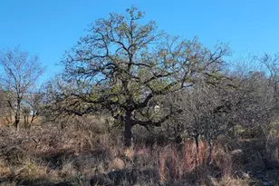 Lot 434-435 Rockcrest Dr, Granite Shoals, TX 78654 - Photo 5