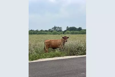 68 Pitchfork Ranch Road, Copperas Cove, TX 76522 - Photo 15