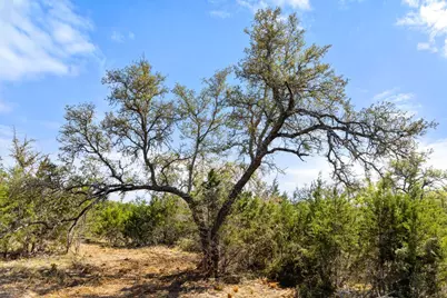 Lot 19 Stone Ridge Mountain Drive, Round Mountain, TX 78663 - Photo 21