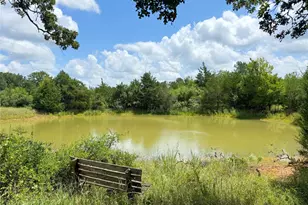 Tbd Grassyville Rd, Paige, TX 78659 - Photo 1