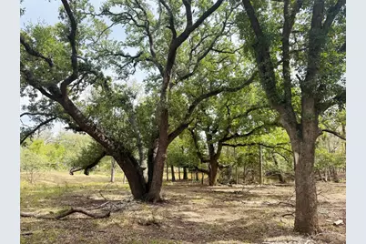 Tbd Grassyville Road, Paige, TX 78659 - Photo 15