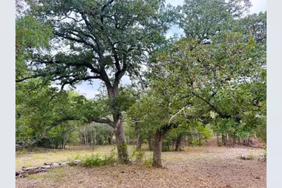 Tbd Grassyville Road, Paige, TX 78659 - Photo 17