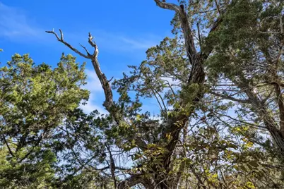 Tbd 17.9 Acres Altwein Road, Blanco, TX 78606 - Photo 15