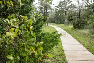 129 Pinyon Pine Drive, Bastrop, TX 78602 - Photo 5