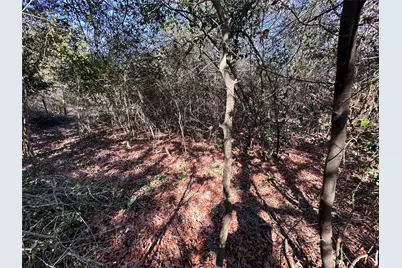 Lot 1 Alta Vista Drive, Bastrop, TX 78602 - Photo 11