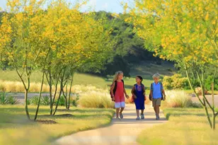 221 Running Fawn, Georgetown, TX 78628 - Photo 13